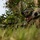 Jungle Exercise 23