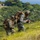 Jungle Exercise 23