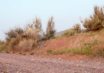 Region VI Best Warrior Day 3