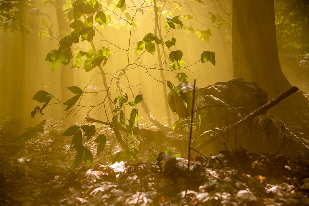 Officers in the making