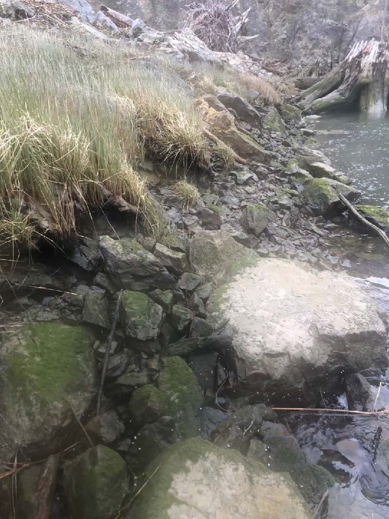 McGlinn Island Jetty emergency repairs underway to protect endangered salmon