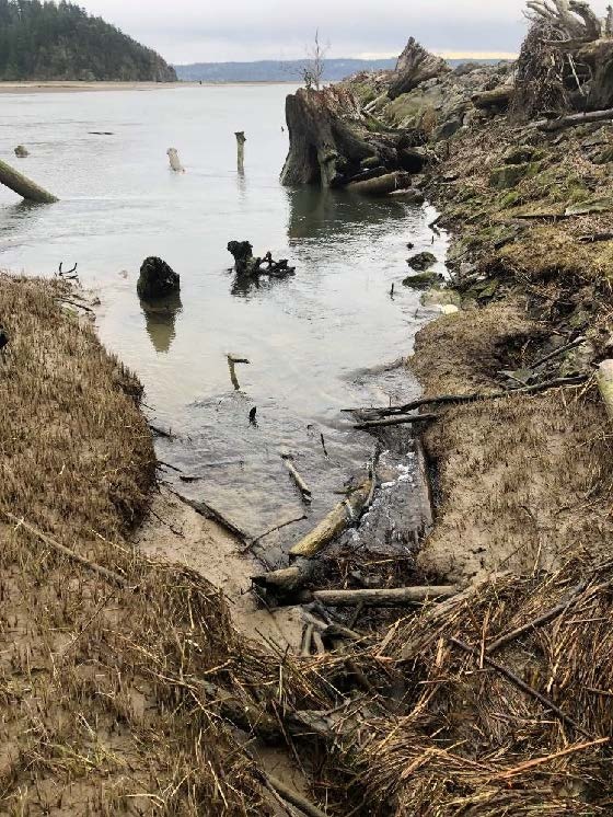 McGlinn Island Jetty emergency repairs underway to protect endangered salmon