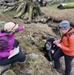 McGlinn Island Jetty emergency repairs underway to protect endangered salmon