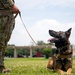 Police Week 2023 at Kadena Air Base