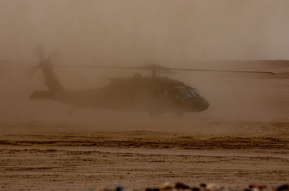 Army Day 2023: AH-64 Apache helicopter lands