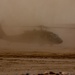 Army Day 2023: AH-64 Apache helicopter lands