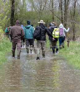 Buffalo Wetland Delineation Training
