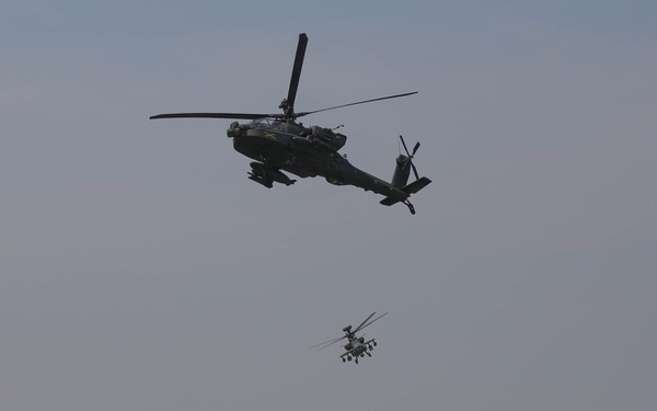 WOE Air Assault Demonstration 2023