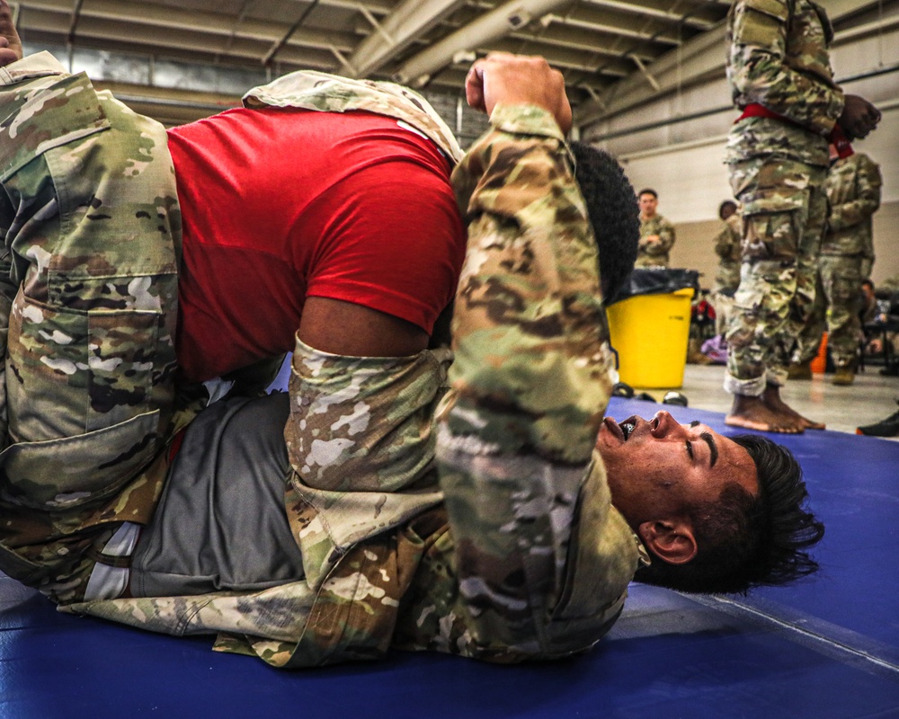 Paratroopers Participate In Combatives Tournament