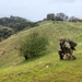 EOD Mobile Unit 3 Conducts EOD Warfare Specialist Training