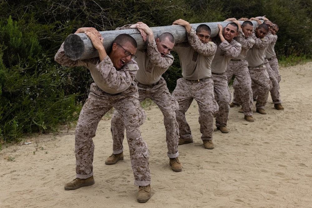 Delta Company Log Drills