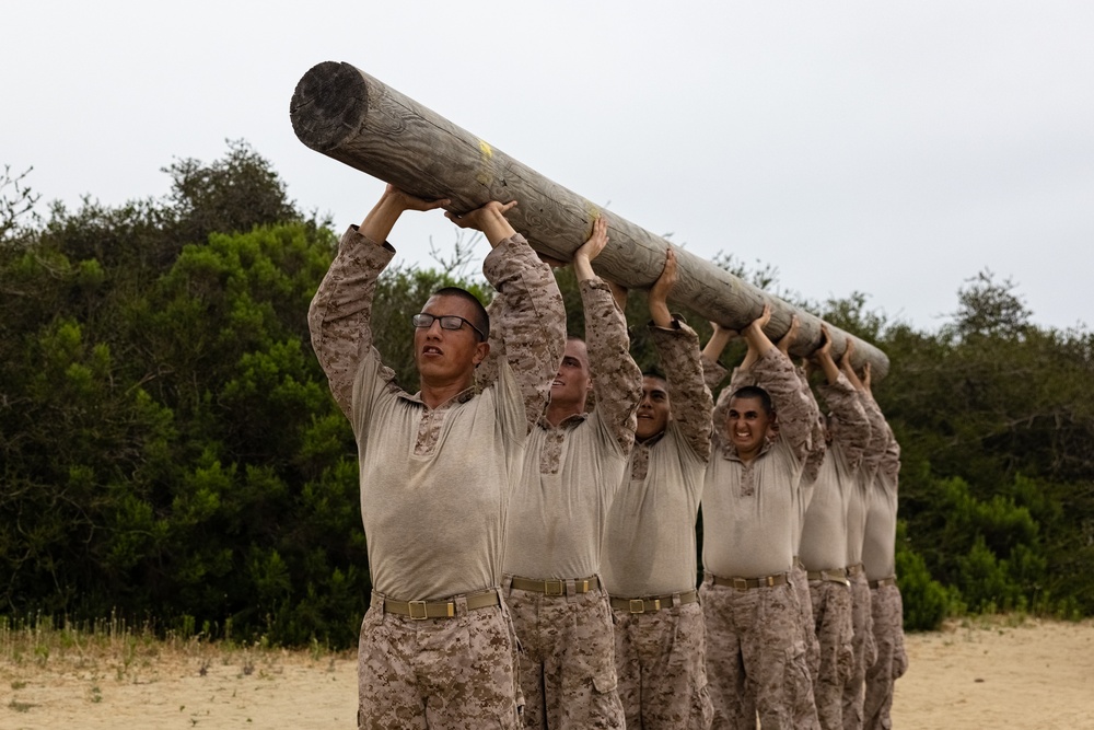 Delta Company Log Drills