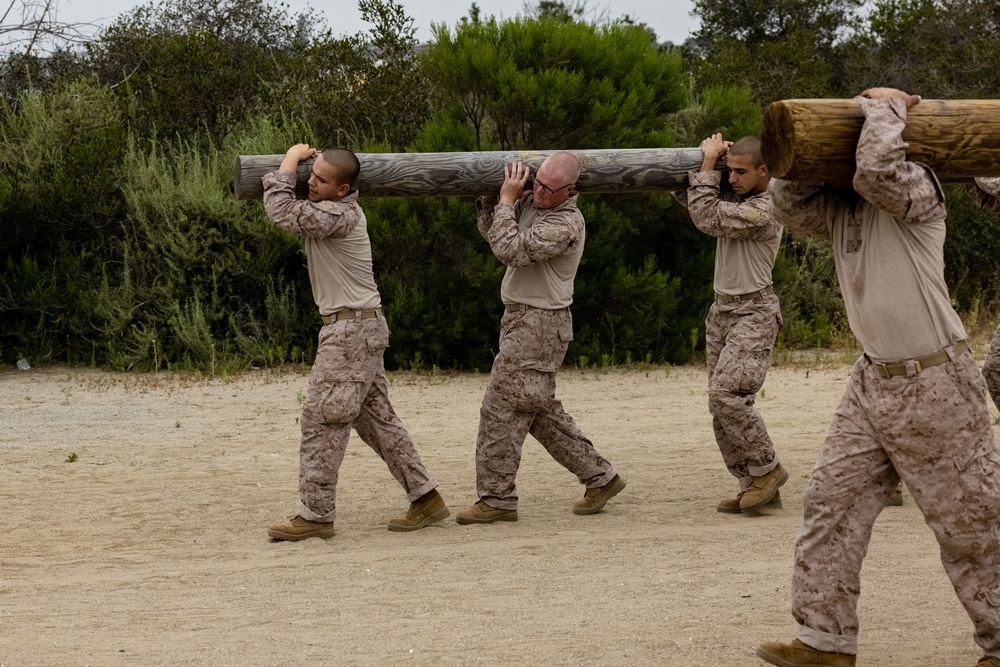 Delta Company Log Drills