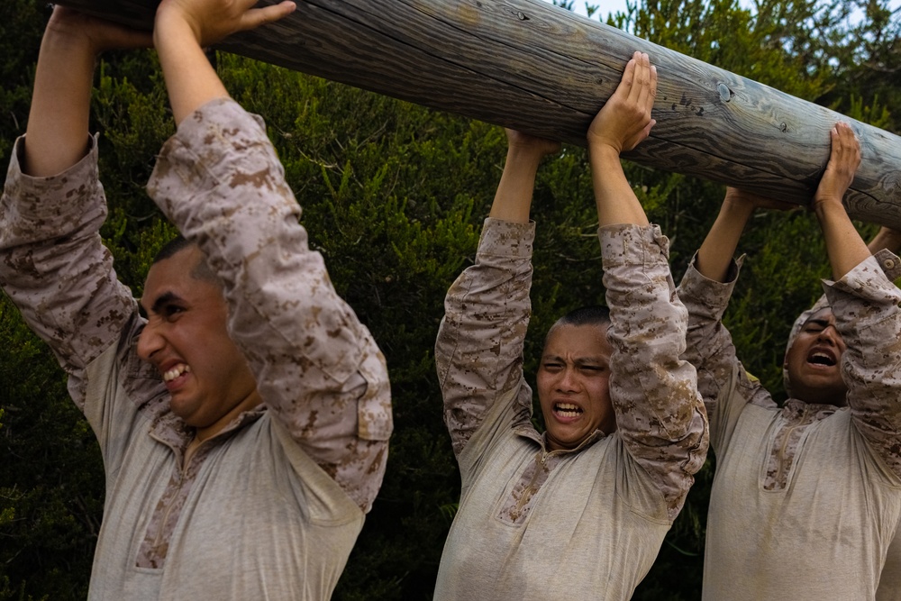 Delta Company Log Drills