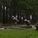 India Company Basic Warrior Training