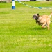 UK Defenders, Pathfinder community celebrate National Police Week