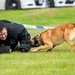 UK Defenders, Pathfinder community celebrate National Police Week