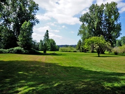 Mountlake Terrace Ballinger Park Aquatic Ecosystem Restoration Project