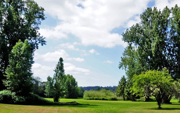 Mountlake Terrace Ballinger Park Aquatic Ecosystem Restoration Project