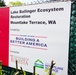 Mountlake Terrace Ballinger Park Aquatic Ecosystem Restoration Project