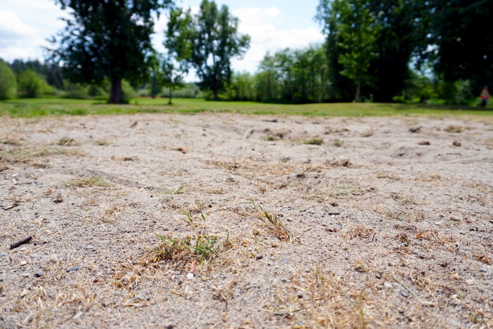 Mountlake Terrace Ballinger Park Aquatic Ecosystem Restoration Project