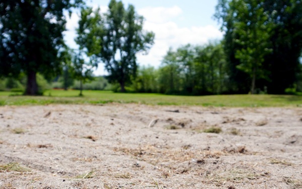Mountlake Terrace Ballinger Park Aquatic Ecosystem Restoration Project