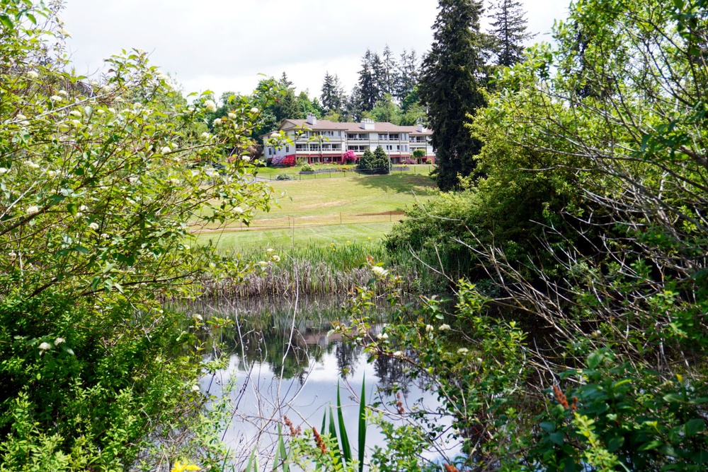 Mountlake Terrace Ballinger Park Aquatic Ecosystem Restoration Project