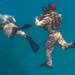 Caribbean Coastal Warrior: Buddy Dives