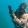 Caribbean Coastal Warrior: Buddy Dives Caribbean Coastal Warrior: Buddy Dives