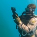 Caribbean Coastal Warrior: Buddy Dives