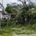 Typhoon MAWAR destruction in Guam