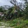 Typhoon MAWAR destruction in Guam