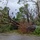 Typhoon MAWAR destruction in Guam