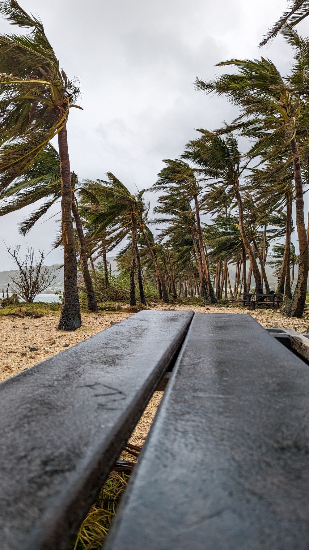 Typhoon MAWAR destruction in Guam