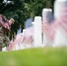 Flags In 2023 at Arlington National Cemetery