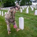 &quot;Flags-In&quot;, May 25, 2023