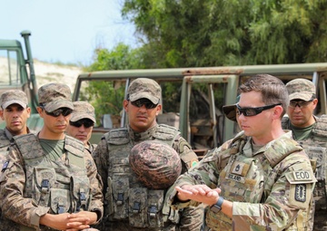 U.S. Army and Tunisian Armed Forces conduct demolition training