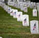 Arlington National Cemetery &quot;Flags In&quot;