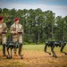 Paratroopers March During Pass In Review Ceremony