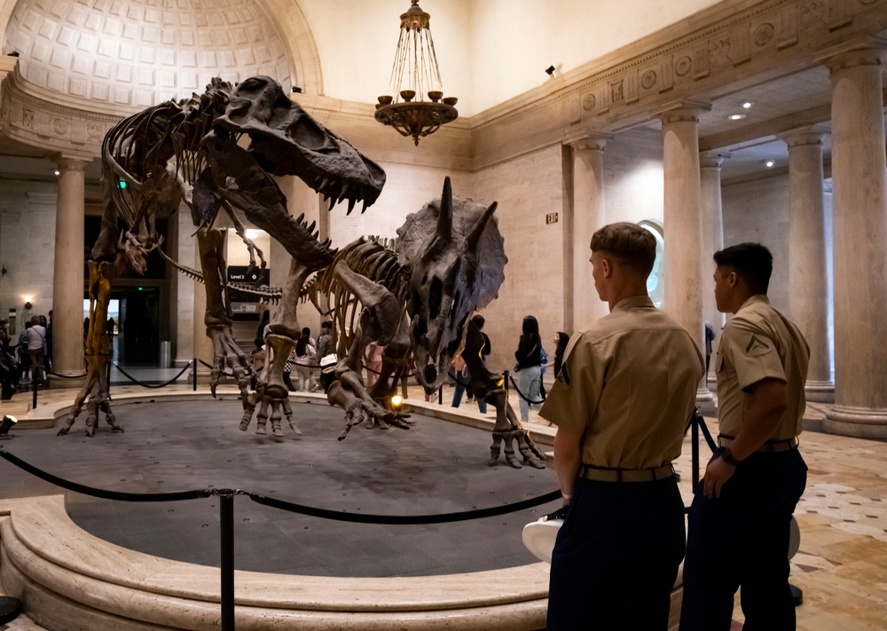 Sailors and Marines Tour Natural History Museum of LA during LA Fleet Week