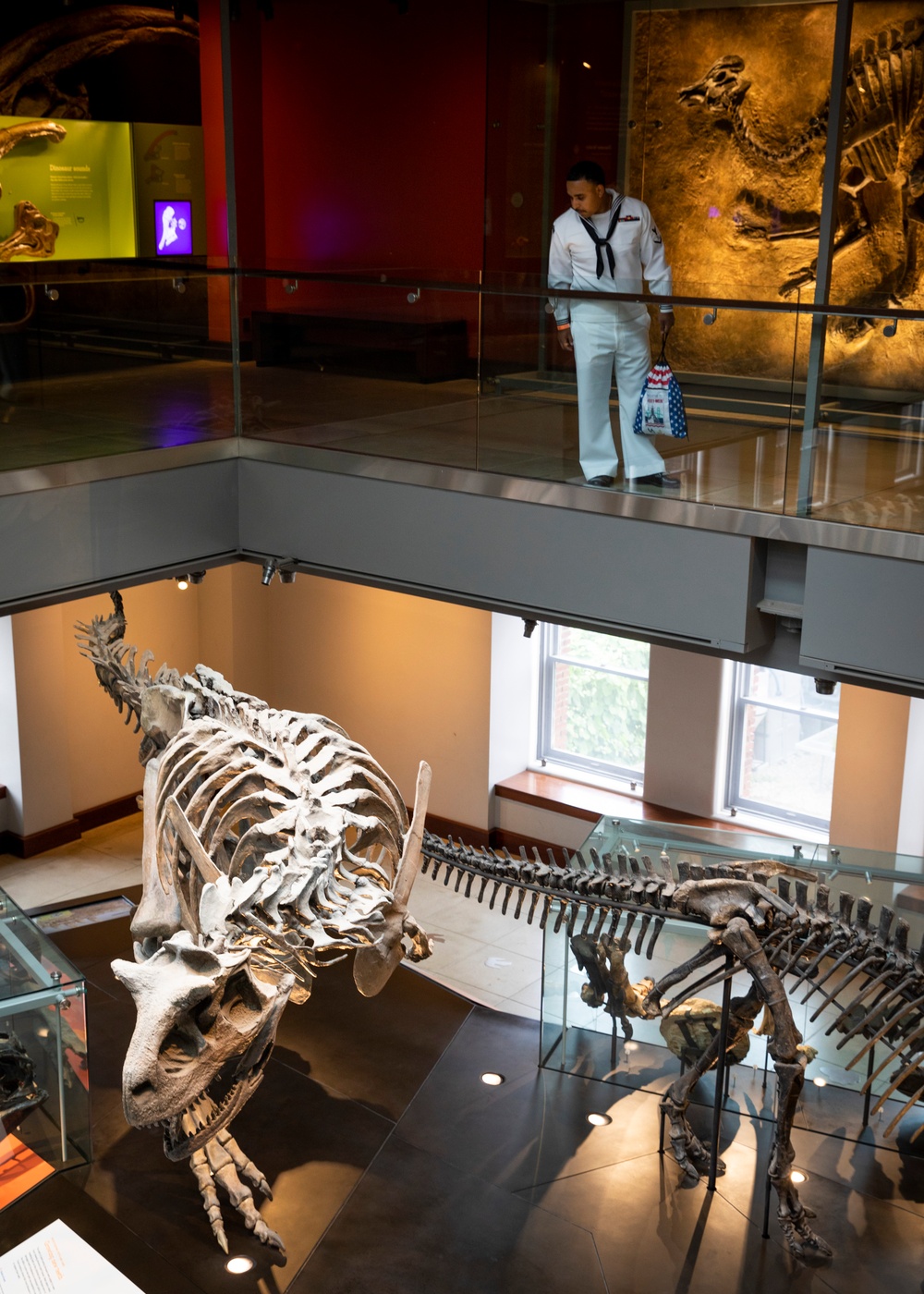 Sailors and Marines Tour Natural History Museum of LA during LA Fleet Week