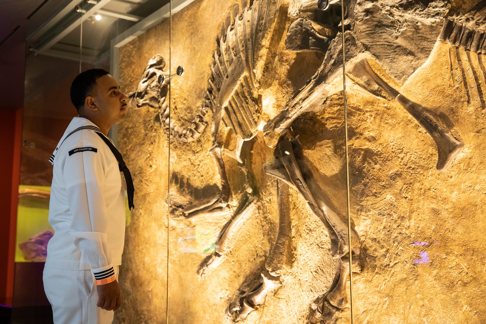 Sailors and Marines Tour Natural History Museum of LA during LA Fleet Week