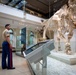 Sailors and Marines Tour Natural History Museum of LA during LA Fleet Week