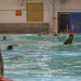 MCRD San Diego Lima Company Swimming Exercise