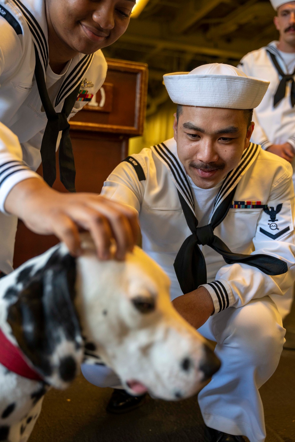 Fleet Week New York 2023 Meet Tank the Dalmation