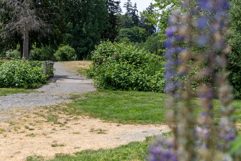 Mountlake Terrace Ballinger Park Aquatic Ecosystem Restoration Project