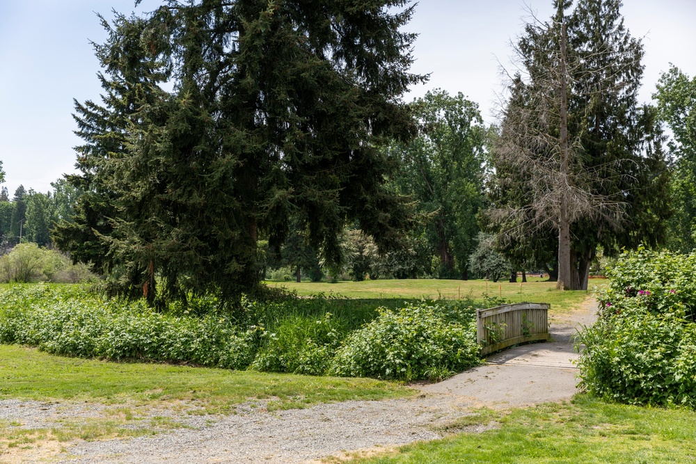 Mountlake Terrace Ballinger Park Aquatic Ecosystem Restoration Project