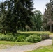 Mountlake Terrace Ballinger Park Aquatic Ecosystem Restoration Project