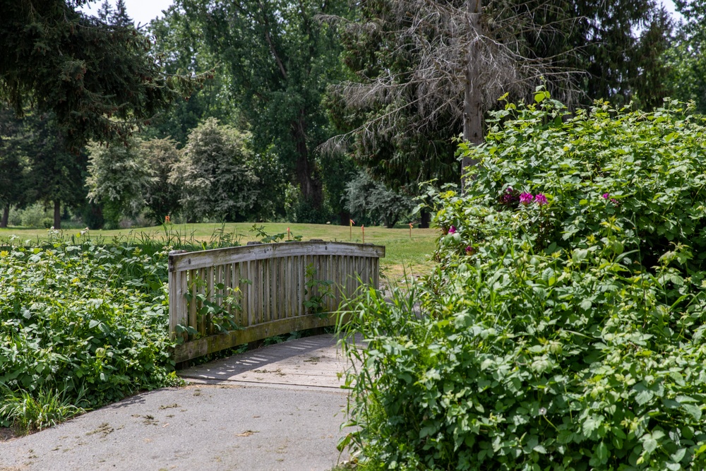 Mountlake Terrace Ballinger Park Aquatic Ecosystem Restoration Project