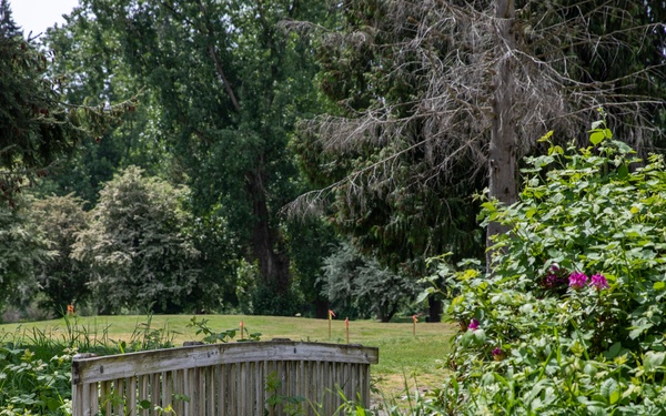 Mountlake Terrace Ballinger Park Aquatic Ecosystem Restoration Project